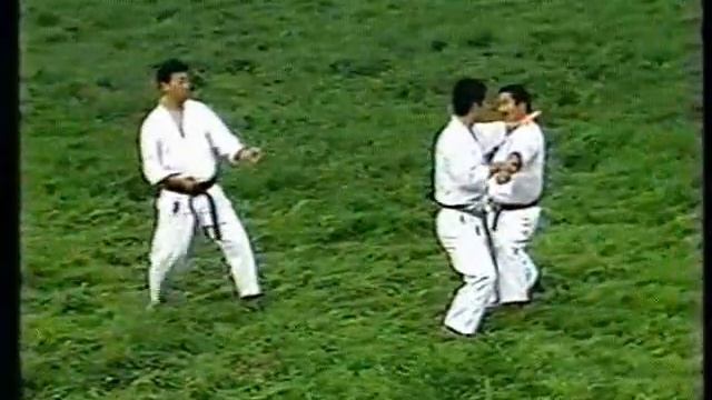 BUNKAI hean Nidan.avi смотреть онлайн