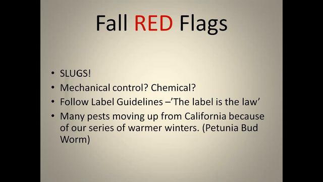 Annuals, Perennials, and Grasses with a Fall Twist