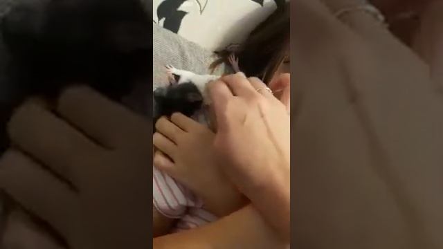 Крыса кайфует смотреть онлайн