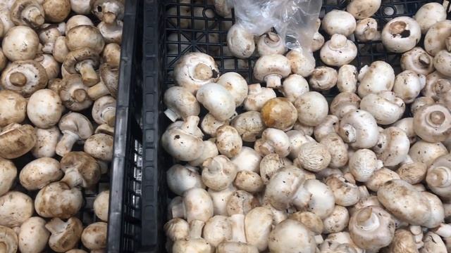 ?МАГАЗИН СВЕТОФОР.Из чего сделана эта колбаса??? смотреть онлайн