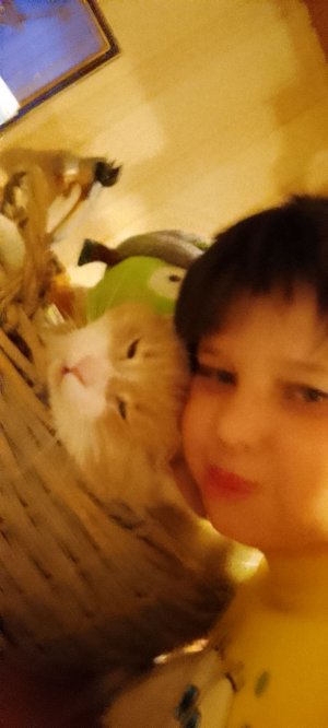 Егор 1 стрим не судите строго