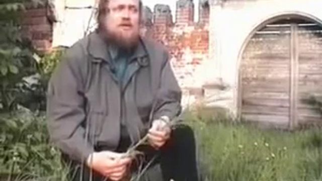 Пырей ползучий полезные свойства и применение пырея в народной медицине