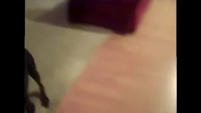 Собаку позвали на дачу ! the dog was going to the country смотреть онлайн