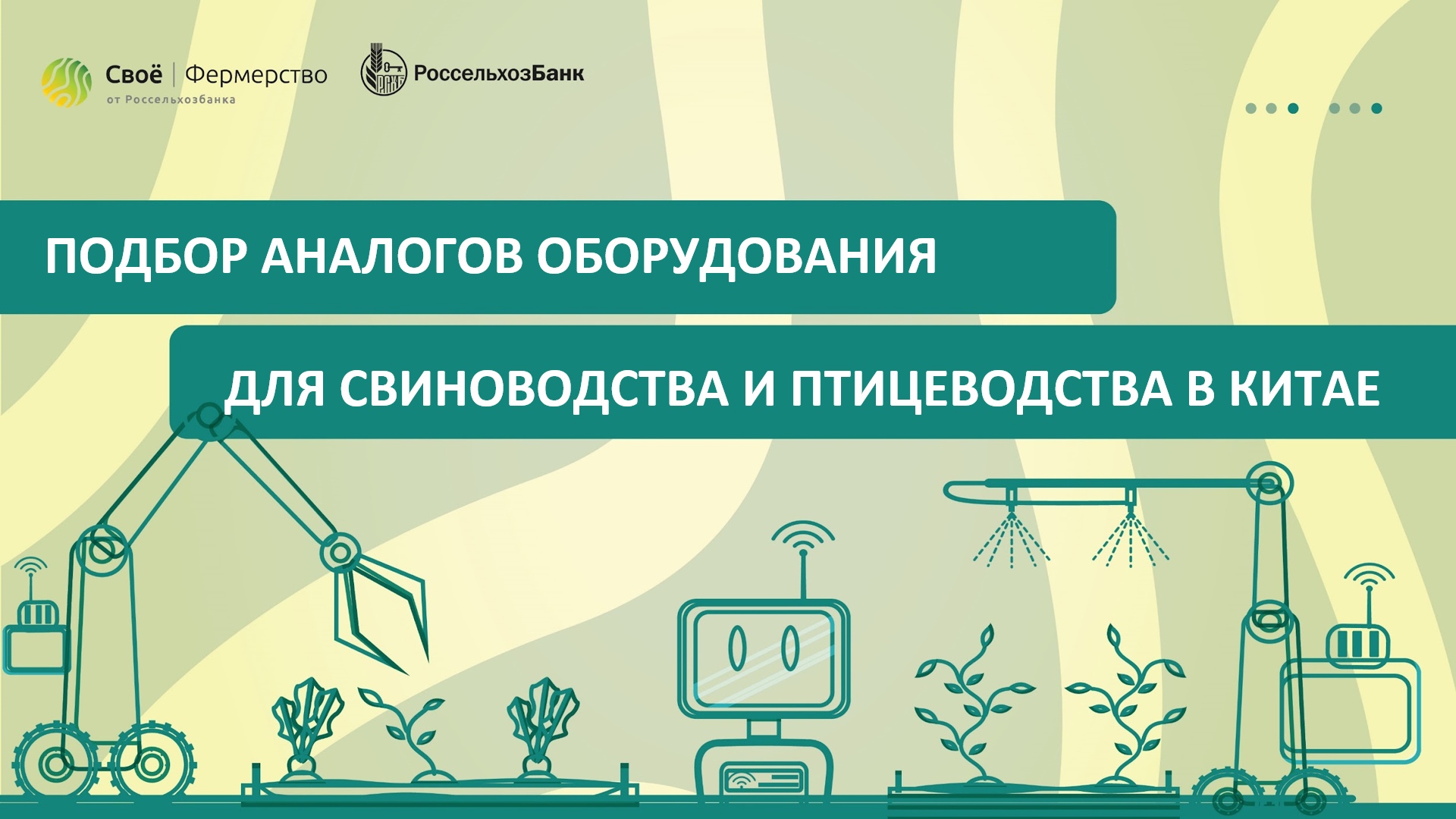 Подбор аналогов оборудования для свиноводства и птицеводства в Китае