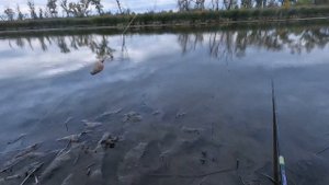 Рыбалка на поплавок в октябре.Ловля сазана на поплавок!