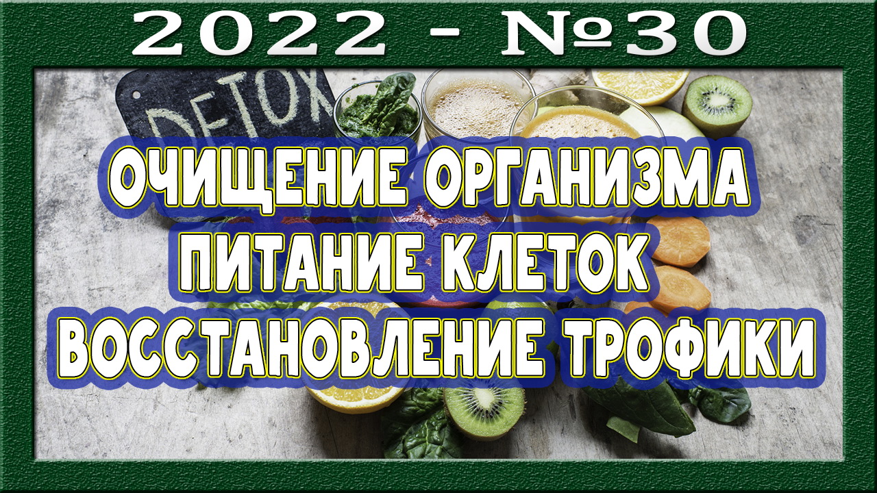 Польза осознанного и тщательного жевания. Позитивное мышление. Три ключа для помощи организму.