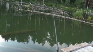 Рыбалка на крупную плотву | сорогу | Ловля ПЛОТВЫ на БОКОВОЙ КИВОК