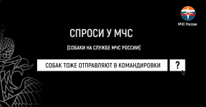 #СпросиуМЧС | собаки на службе МЧС России