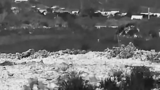 Guide TN 630 смотреть онлайн