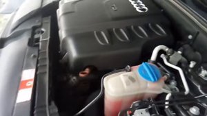 посторонний звук после запуска двигателя ауди А4 B8 2.0 tdi