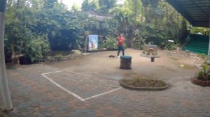 Зоопарк Khao Kheow Тайланд 2