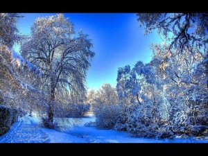 Здравствуй февраль.С Первым Днём Февраля! Совсем Чуть - Чуть Осталось До Весны!  Красивая  Открытка!