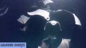 Самвел Ад доказательства не убедили.Надя попалась,как кур в ощип.Отдых Эдика.