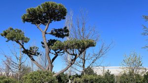 Суббота. Утро. Парк Галицкого