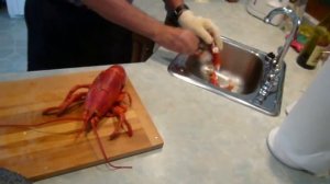 Разделка Омара