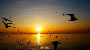 Лао-цзы, открывающий тайны Даосизма. Мудрые цитаты древнего Китая