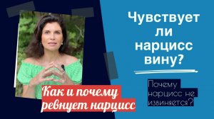 Чувствует ли нарцисс вину? Почему нарцисс не извиняется? Как и зачем ревнует нарцисс?