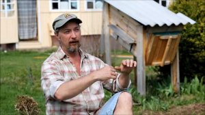 О колодном пчеловодстве