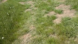 ПВД по берегу Черного моря. Затока (ст. Бугаз), Будакская коса, Сергеевка, Курортное