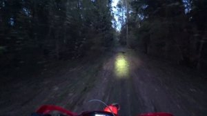 ВСТРЕТИЛИ БЕШЕНОГО ПИТБАЙКЕРА! ВЕЧЕРНЯЯ ПОКАТУШКА ПО ЛЕСУ/ БЕРНАУТ НА НОВОМ МОТИКЕ!?