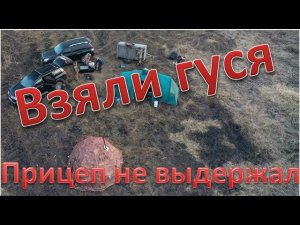 Есть ГУСЬ и утка. Сломалось все. There is a GOose and a duck. Everything has broken. 4K