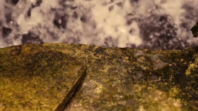 ОХРАНА ТРУДА 01 смотреть онлайн