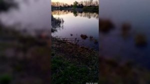 Рыбалка на пруду 64-й Рыбхоз | Рыбалка в Воронеже