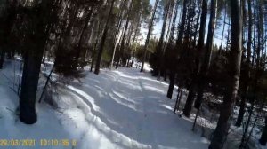 Скаут Сафари-3. Небольшие весенние покатушки по тропам снегохода.mp4