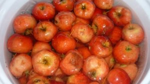 Варенье из яблок Китайка