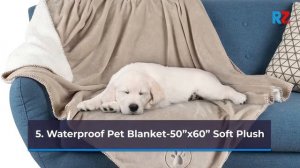 Best Top 10 Pet Blanket For 2021   Top Rated Best Pet Blanket