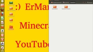 Tutorial Como instalar Sumotori Dreams  "Para Ubuntu Linux"