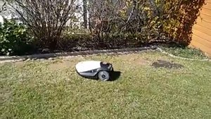 Робот-газонокосилка Robomow RC304