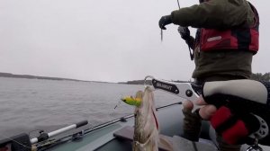 Лодка Аквилон 430 - Рыбалка. Зимний спиннинг