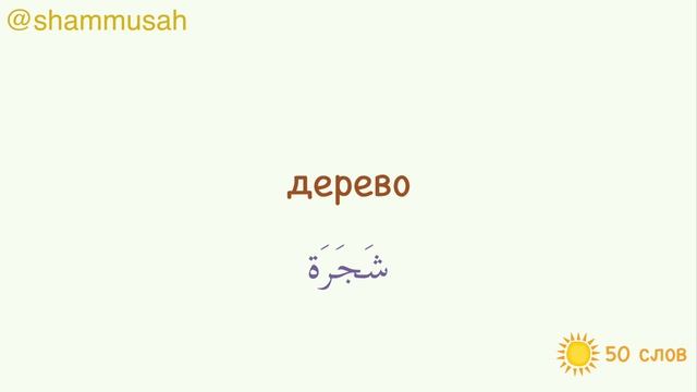 Урок арабского языка для начинающих | 50 слов на арабском языке смотреть онлайн