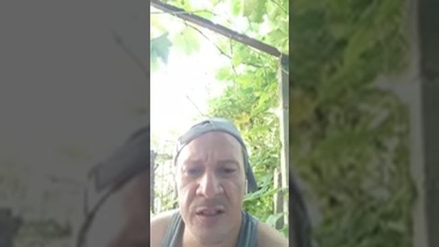 466.15.04.ა.£. !!! СВЕТЛАНА НА 13.23 ВЫРЕЗАТЬ. . PROPHET. SHCHERBAKOV. ЩЕРБАКОВ . АРТЁМ