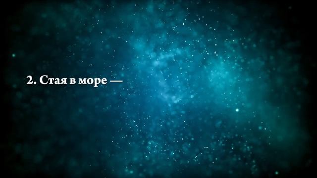 К чему снятся дельфины в море - Онлайн Сонник Эксперт смотреть онлайн