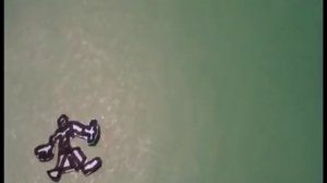 Давайте знакомиться! (2011)