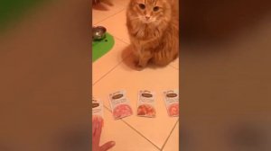 Кузьмин, история обретения дома.