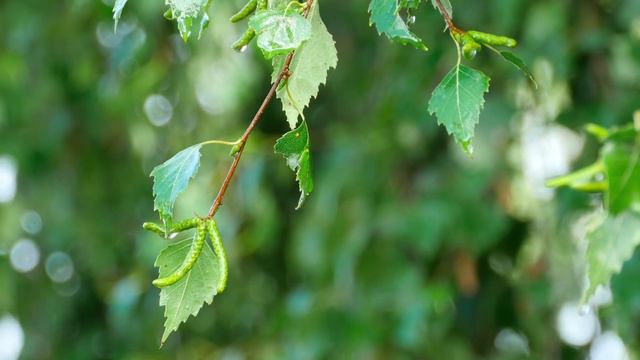 ОДНОЙ ТЕБЕ! Очень красивая Нежная мелодия любви, Просто невероятная музыка Сергея Чекалина! relax # смотреть онлайн