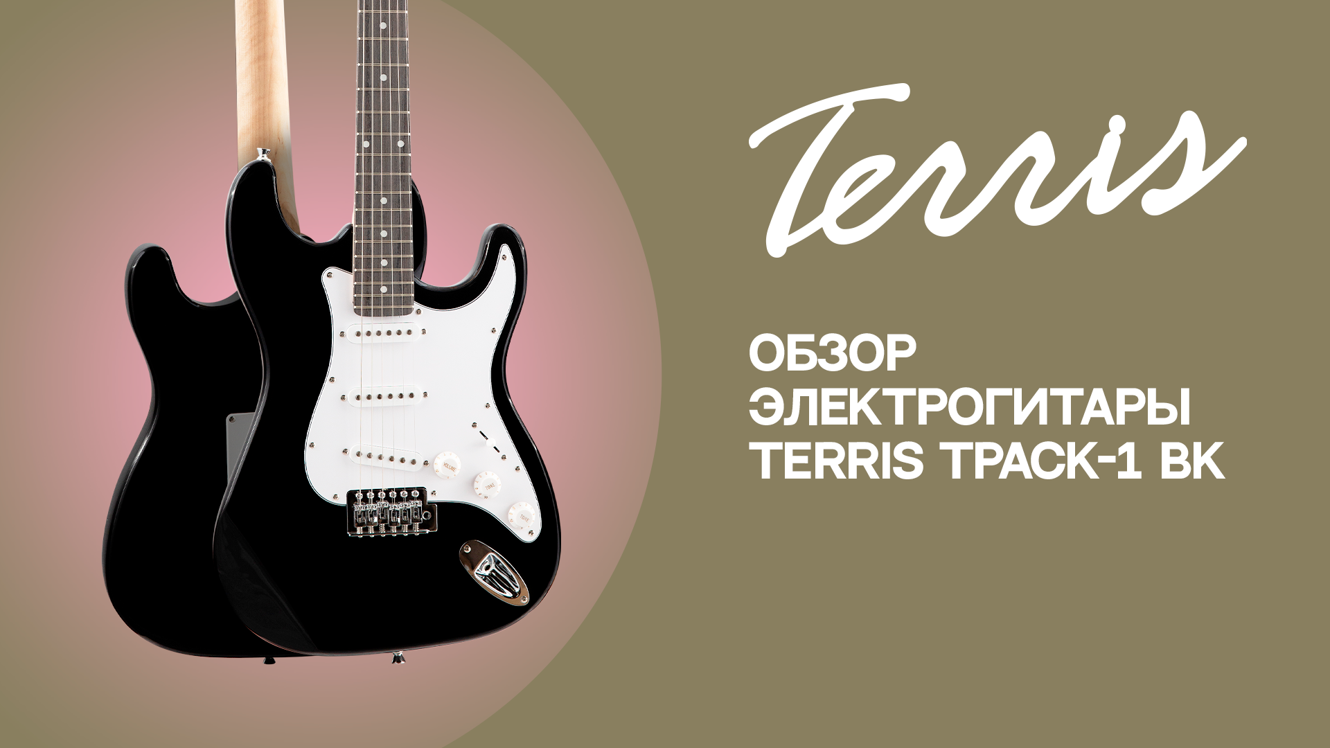 Комплект начинающего гитариста TERRIS TPACK-1 BK