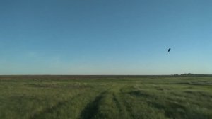 Исчезнувший посёлок Киево-Полтавка, Дергачевский район.