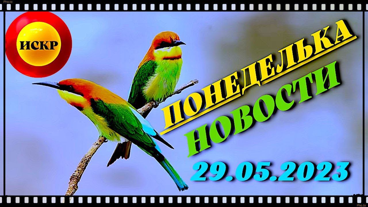 ПОНЕДЕЛЬКА ИСКР ⏰  29.05.2023