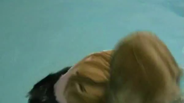Wet Girl