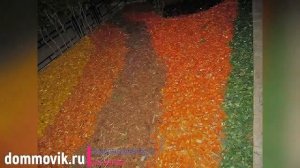 Щепа декоративная в ландшафтном дизайне