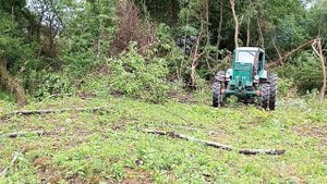 готовим дрова на т 40