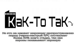 Жирность коровьего молока – один из важнейших показателей продуктивности