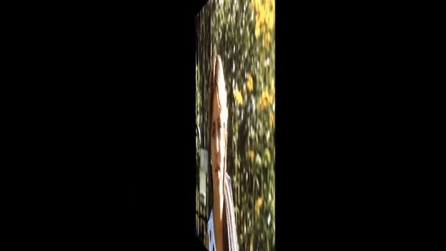 СОВЕТСКОЕ ЛЕНИНГРАДСКОЕ ЛЕТО. Дворик и огород смотреть онлайн