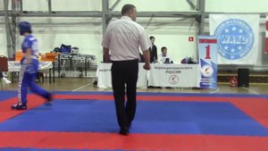 Всероссийские соревнования по кикбоксингу "MOSCOW OPEN" 23-26 января 2020