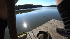 ЛОВЛЯ БЕЛОЙ РЫБЫ НА МАХОВОЕ УДИЛИЩЕ И ФИДЕР.