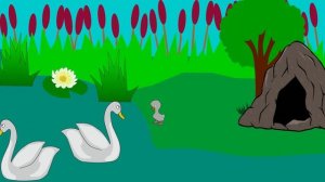 Гадкий утенок